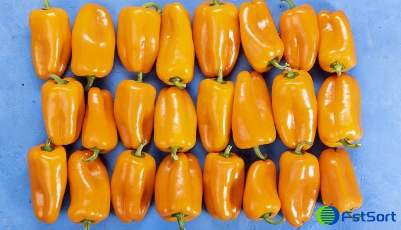 images/1677051458330Clasificadora de pimiento verde1.jpg